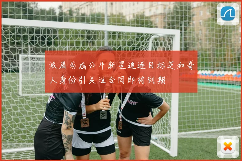 浓眉或成公牛新星追逐目标芝加哥人身份引关注合同即将到期