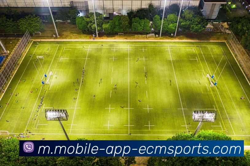 易倍体育发展历程