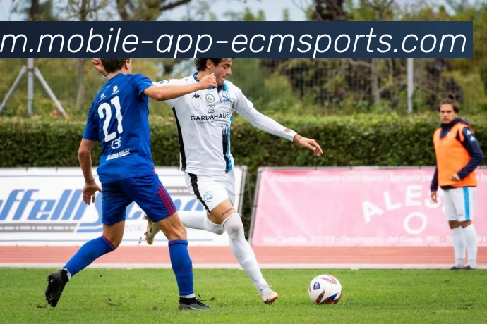 弗莱称赞克尼佩尔如同老将黄蜂可围绕他打造未来阵容